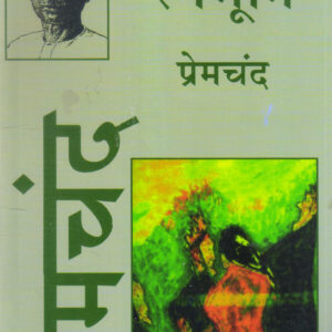 RANGBHOOMI ( रंगभूमि ) Paperback