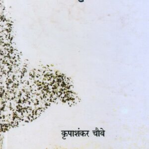 MEDIA SANSKRITI SAMAY ( मीडिया संस्कृति समय ) Hardcover