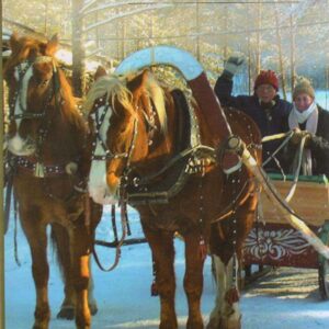 SHASHWAT PATI (  शाश्वत पति ) Hardcover